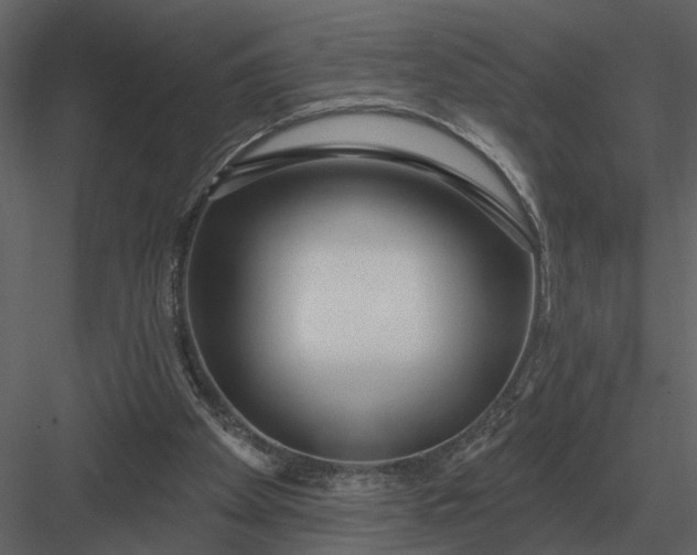 X0000083550105200702240122