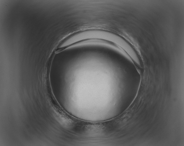X0000083550107200702240122