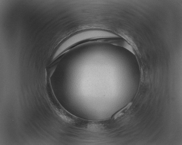 X0000083550109200702240122