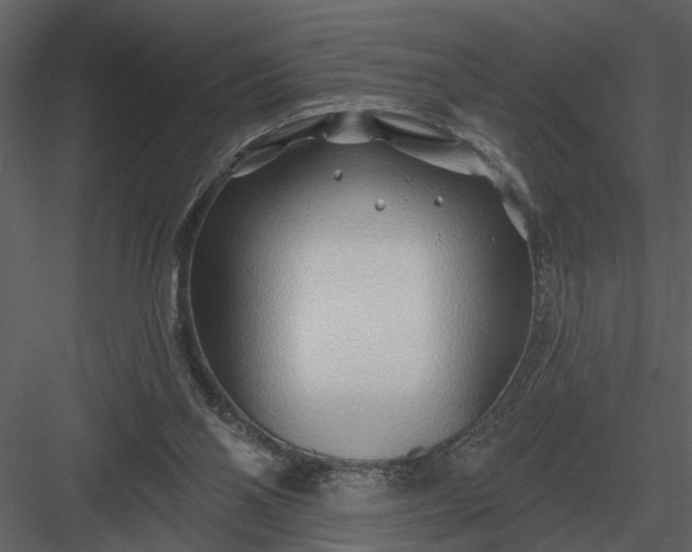 X0000083550110200702240122
