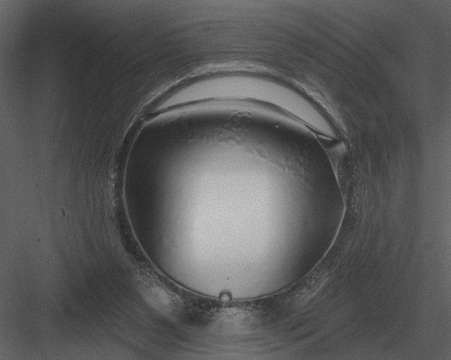 X0000083550111200702240121
