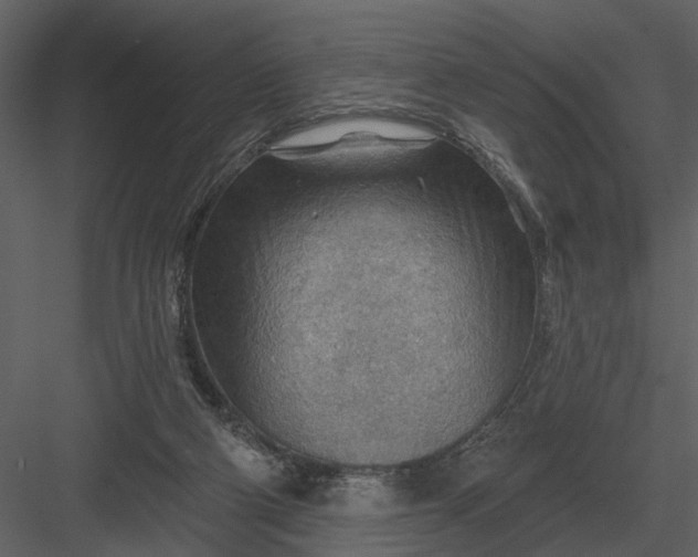 X0000083550114200702240121