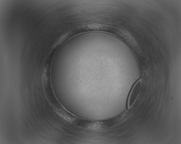 X0000083550116200702240121