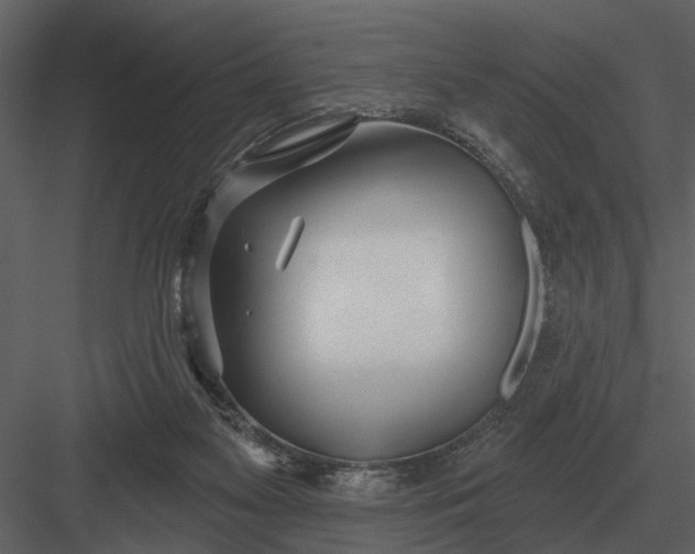 X0000083550117200702240121