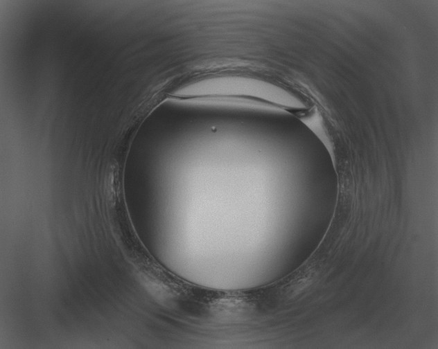 X0000083550119200702240121