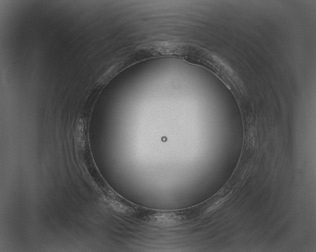 X0000083550121200702240121