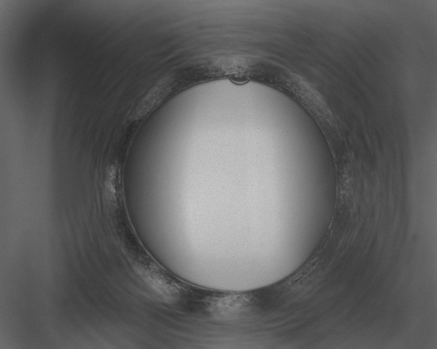 X0000083550122200702240121