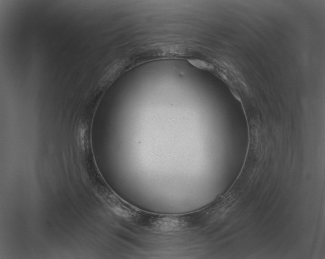X0000083550123200702240121