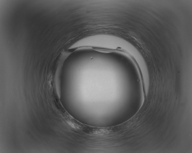 X0000083550125200702240121