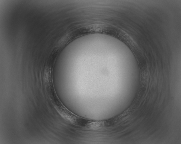 X0000083550126200702240121