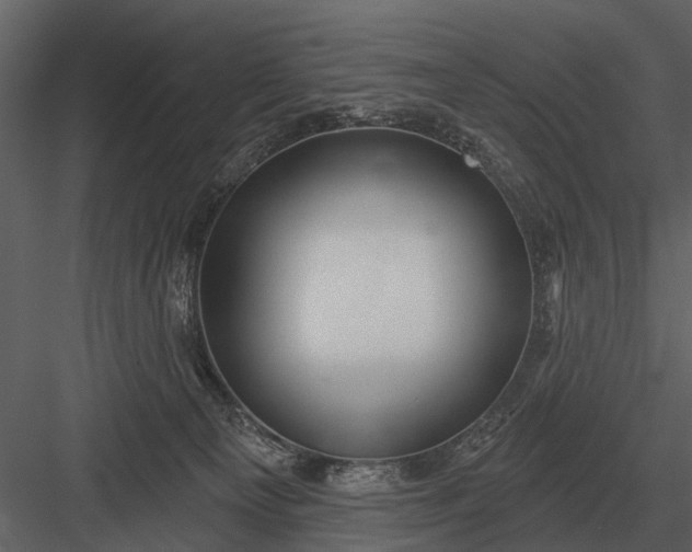 X0000083550129200702240121