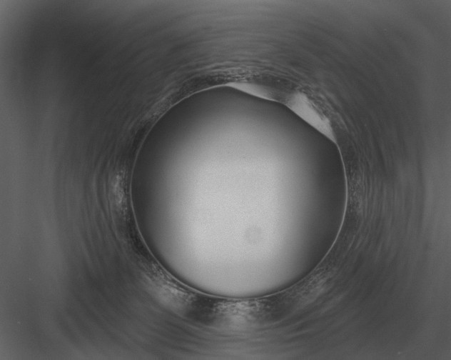 X0000083550131200702240121