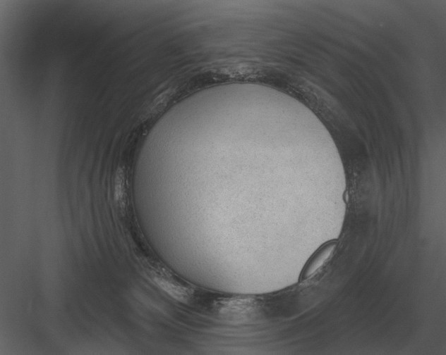 X0000083550132200702240121