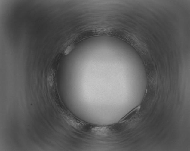 X0000083550133200702240121
