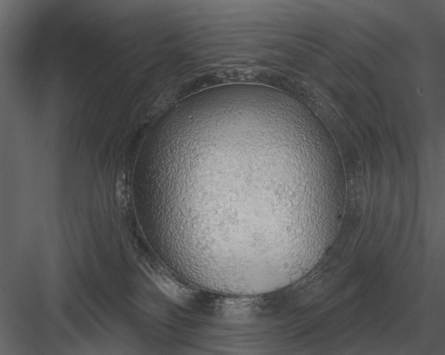 X0000083550134200702240121