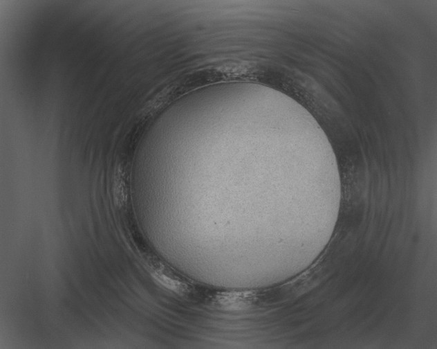 X0000083550136200702240121