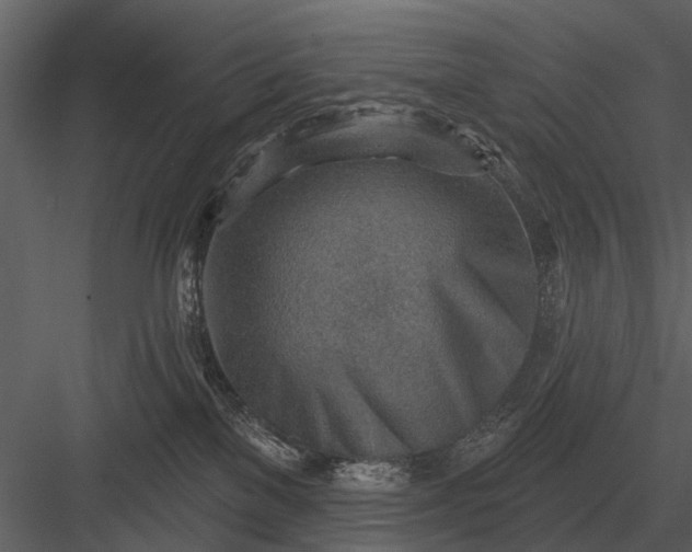 X0000083550137200702240121