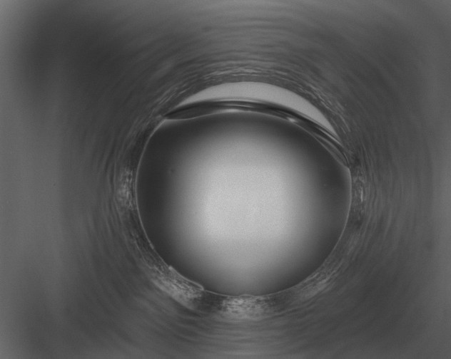 X0000083550141200702240121