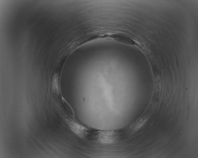 X0000083550143200702240121