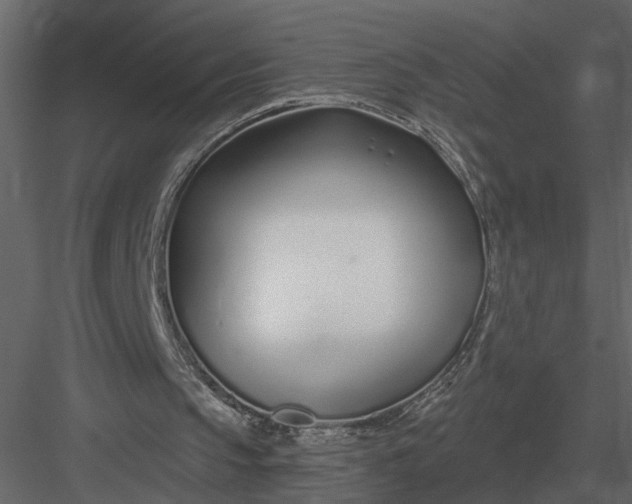 X0000083550145200702240120