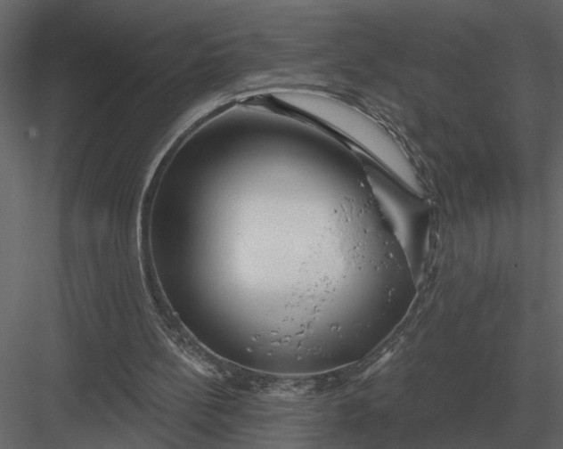 X0000083550148200702240120