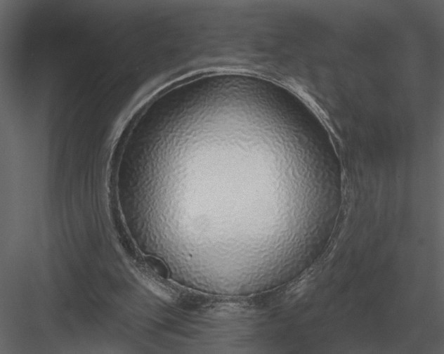 X0000083550151200702240120