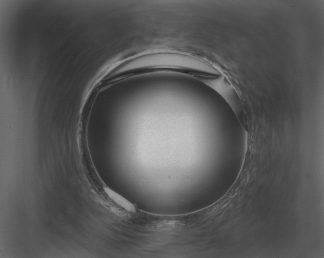 X0000083550152200702240120