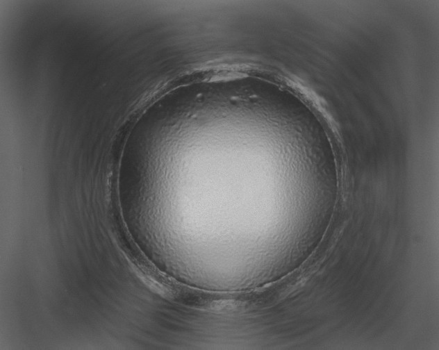 X0000083550153200702240120