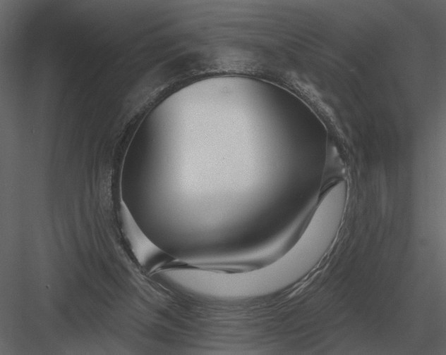 X0000083550154200702240120