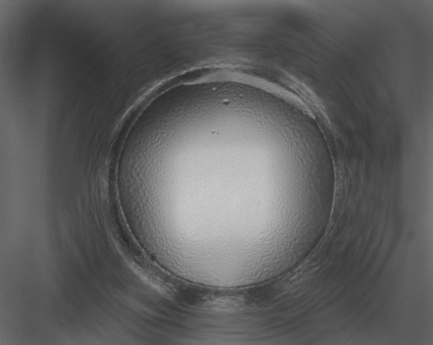 X0000083550155200702240120
