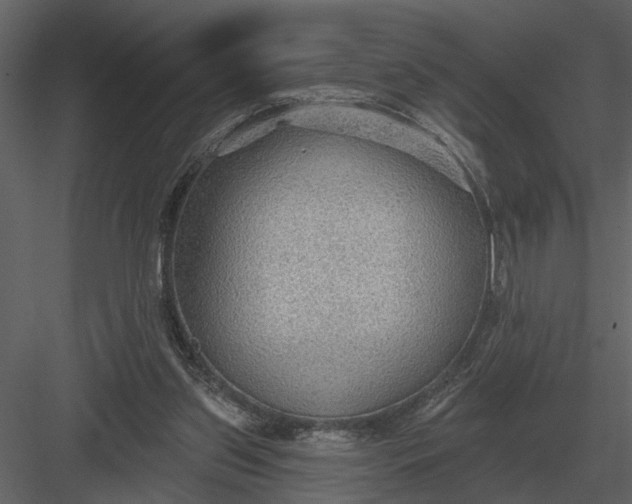 X0000083550157200702240120