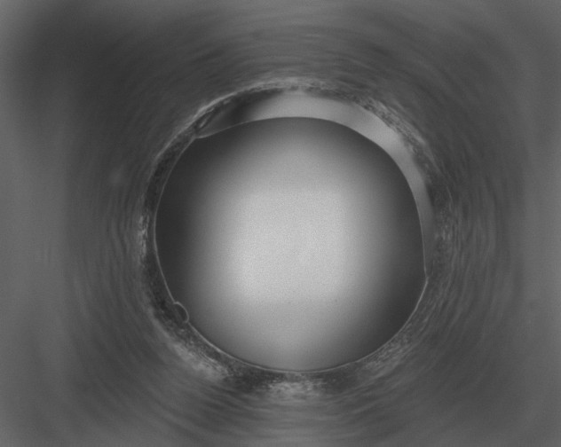 X0000083550160200702240120