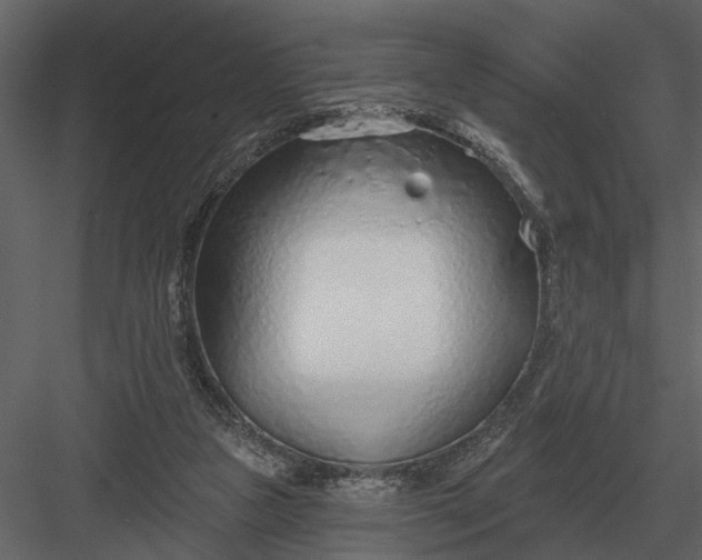 X0000083550161200702240120