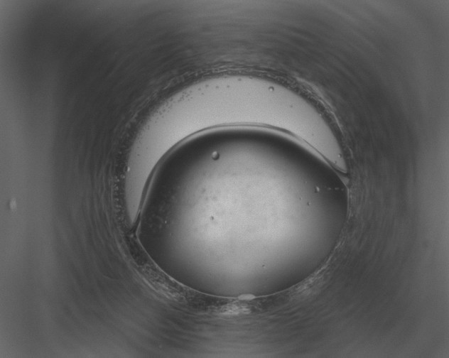 X0000083550162200702240120
