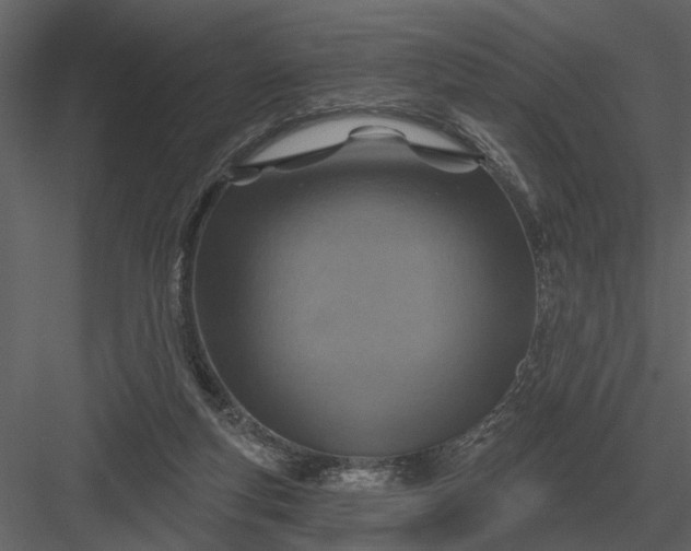 X0000083550163200702240120