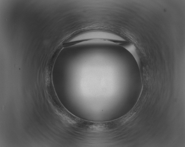 X0000083550164200702240120