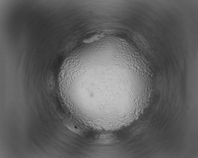 X0000083550173200702240121