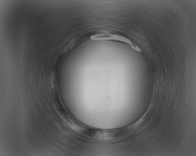 X0000083550174200702240121