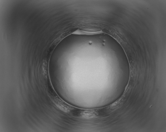 X0000083550175200702240121