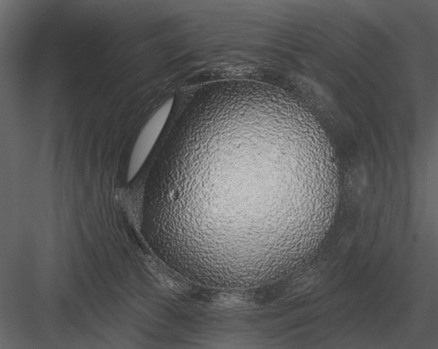 X0000083550177200702240121