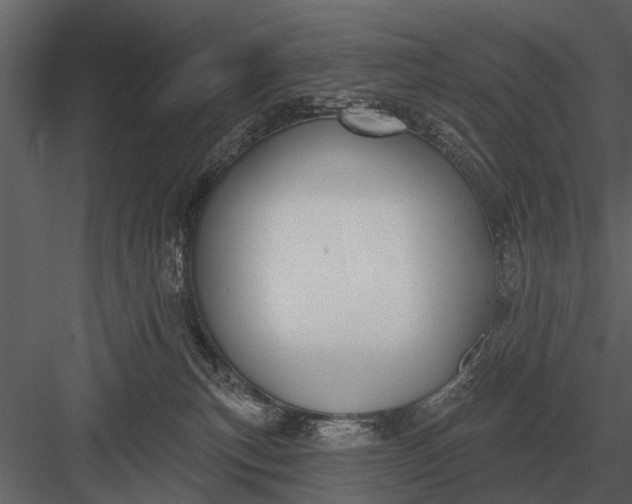 X0000083550183200702240121