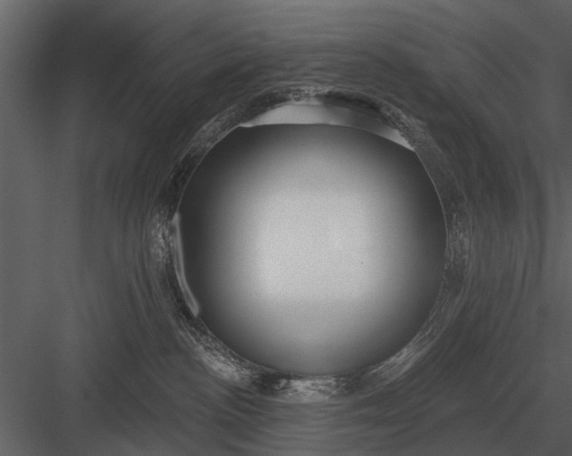 X0000083550188200702240121