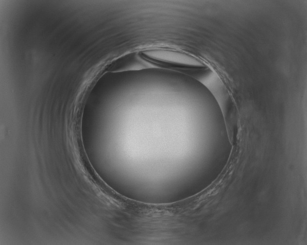 X0000083550193200702240120