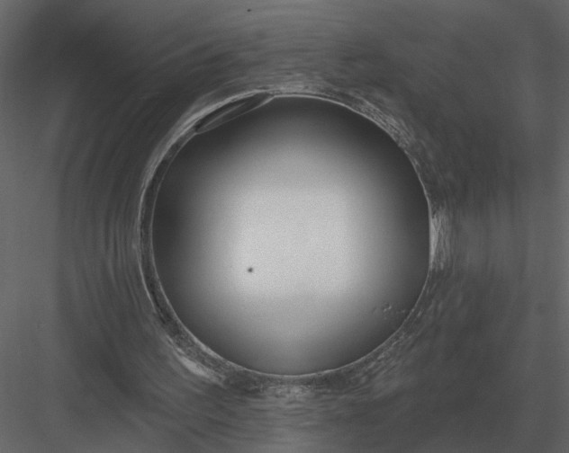 X0000083550195200702240120
