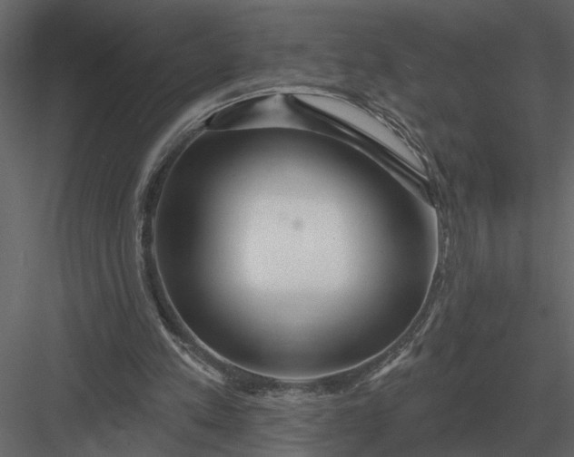 X0000083550197200702240120