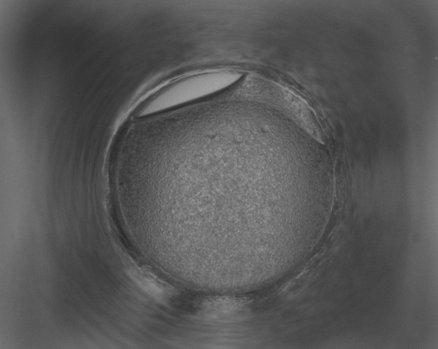 X0000083550198200702240120