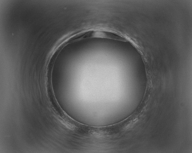 X0000083550199200702240120