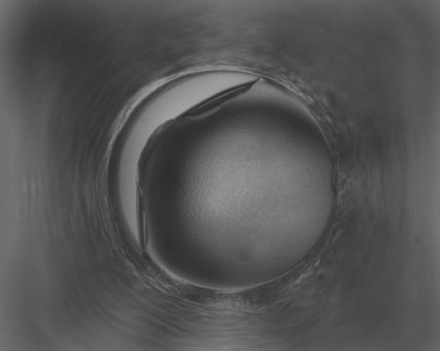 X0000083550200200702240120