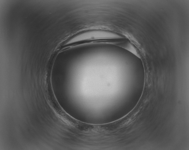 X0000083550201200702240120