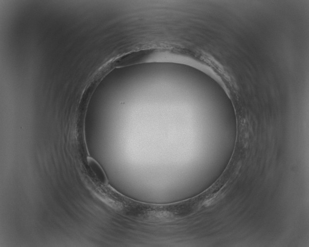 X0000083550203200702240120